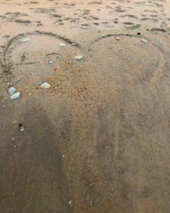 44283527_10217739615827127_1691278780233940992_o