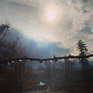 44302808_10217747167975926_5208717735638335488_o