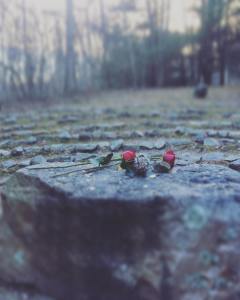 44339437_10217755516864643_1477351621770870784_o