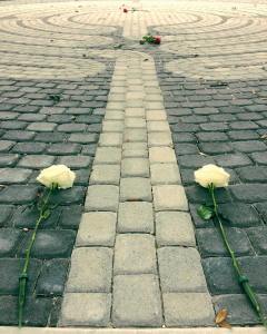 44490418_10217763111654508_814878900915011584_o