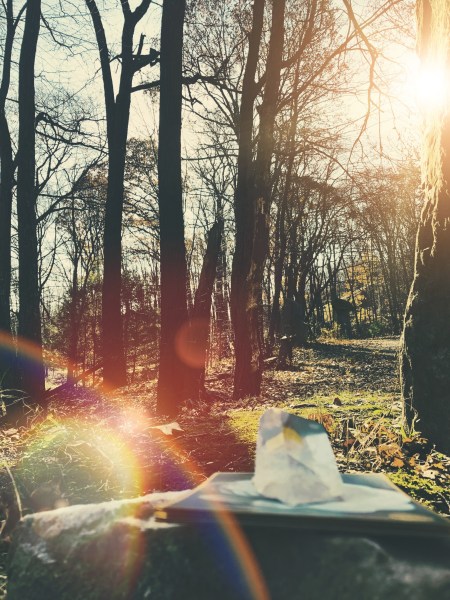 Processed with MOLDIV